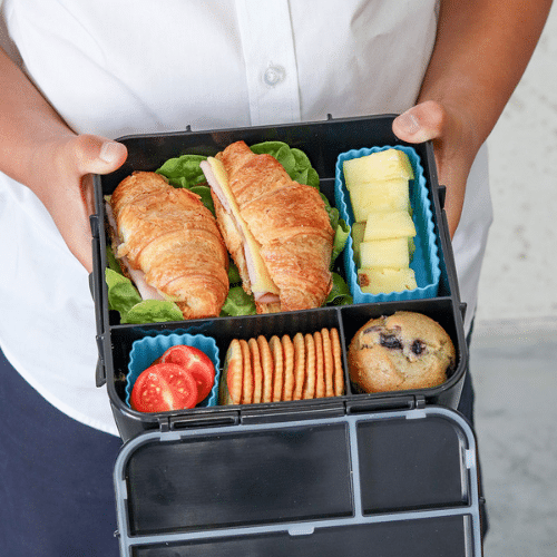 MontiiCo Bento Five - Dinosaur Land